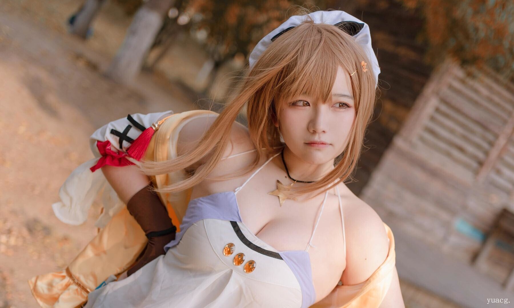 [阿半今天很开心]莱莎的炼金工房 莱莎[29P]